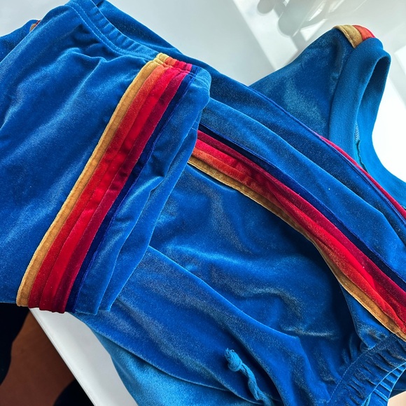 Aviator Nation Classic Velvet Relaxed Sweatshirt and Sweatpants Set - Picture 4 of 4